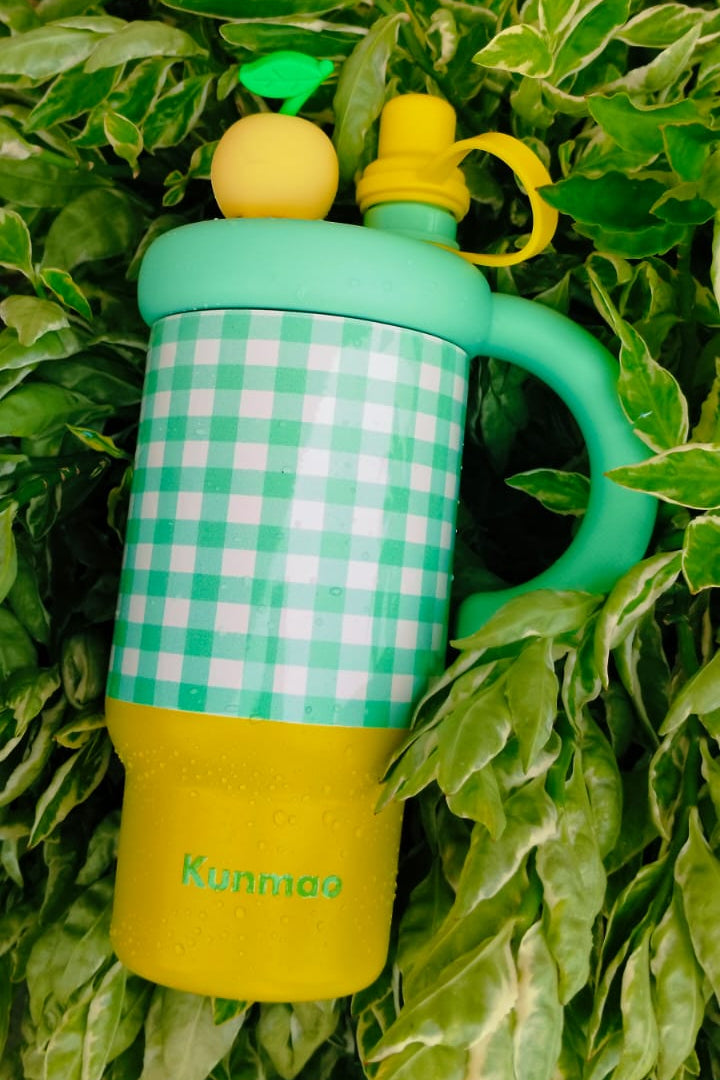 Cherry Blossom Sip | Insulated | Spill Proof | Detox Tumblers