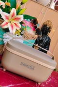 Double Decker ELECTRIC Lunchbox | Spill Proof |  4 BOXES | Premium Quality