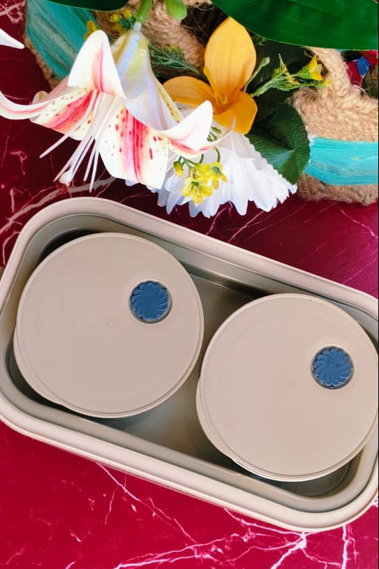 Double Decker ELECTRIC Lunchbox | Spill Proof |  4 BOXES | Premium Quality