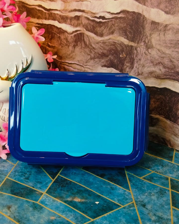 Stainless Steel lunchbox|Top Cutlery lid|Stainless steel|Spill proof|Insulated|Kiidzkornerz