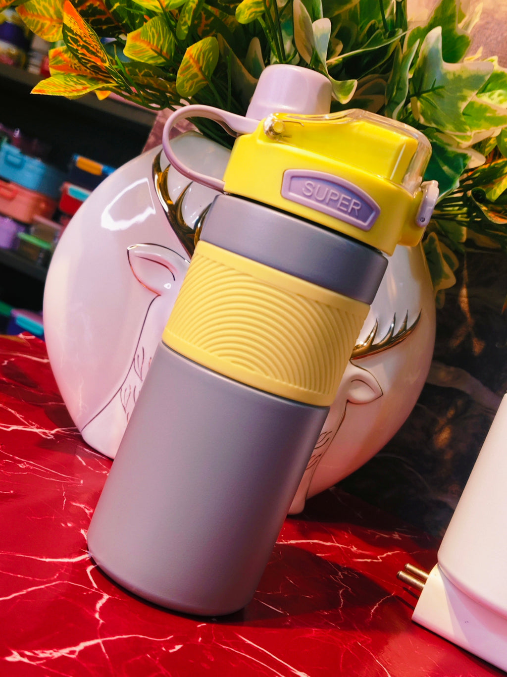 Hydra QUENCHER |Insulated|Leak proof | 600ml |Dual Sip